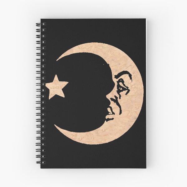 Aperçu de l'œuvre Tableau de sorcière Lune créée et vendue par ShayneoftheDead.