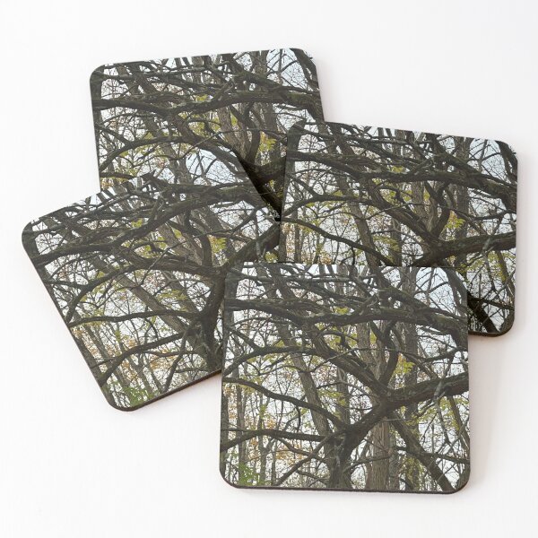 Item preview, Wicked Looking Branches designed and sold by Abeink1030.