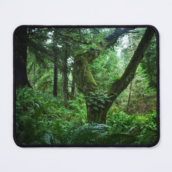 Item preview, Oregon Forests designed and sold by EzraRogers.