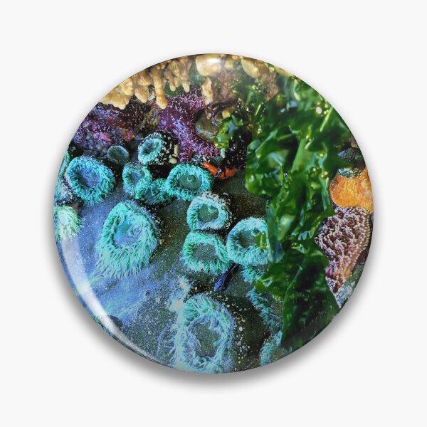 Item preview, Pacific North-West Low Tide designed and sold by sandpiperstudio.