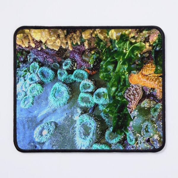 Item preview, Pacific North-West Low Tide designed and sold by sandpiperstudio.