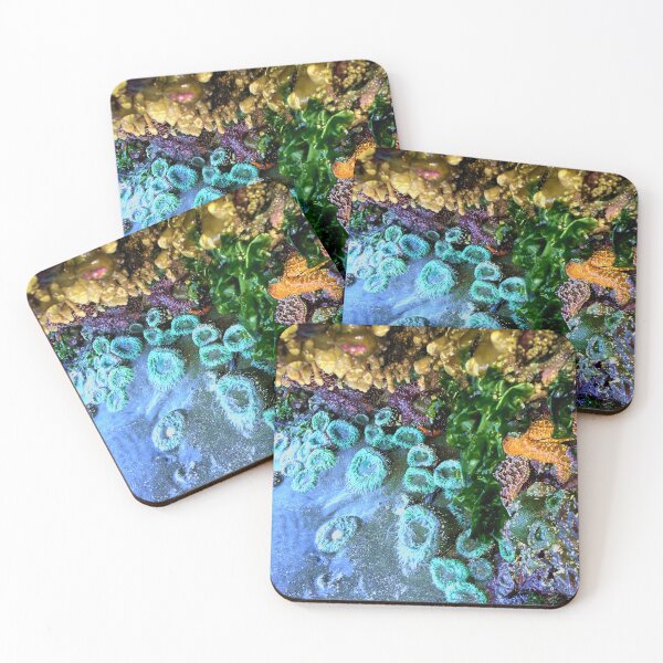 Item preview, Pacific North-West Low Tide designed and sold by sandpiperstudio.
