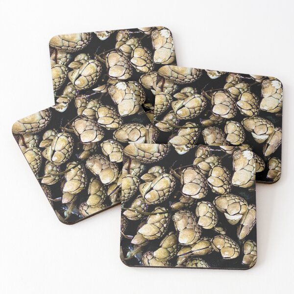Item preview, Pacific Ocean barnacles  designed and sold by sandpiperstudio.