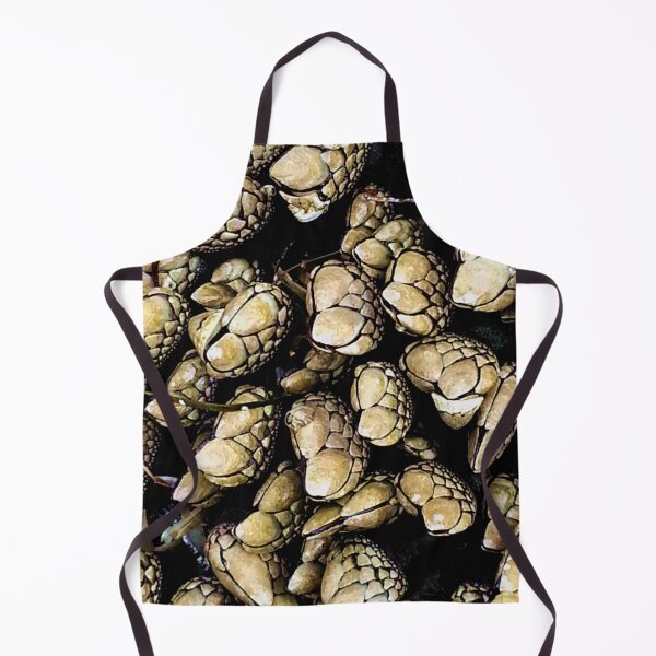 Item preview, Pacific Ocean barnacles  designed and sold by sandpiperstudio.
