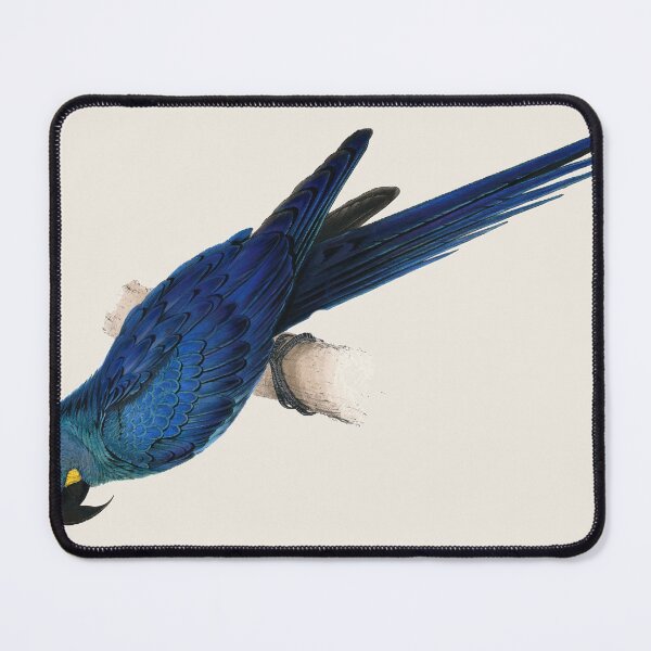 Item preview, Lear’s Macaw by Edward Lear designed and sold by Amanda1775.
