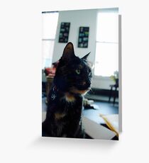Lily Greeting Card