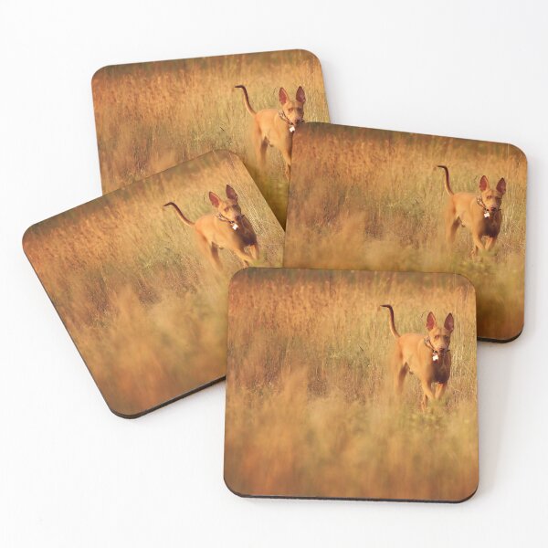 Item preview, Beautiful pharaoh hound dog designed and sold by reka88.