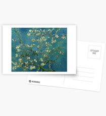 Van Gogh Almond Blossoms Postcards