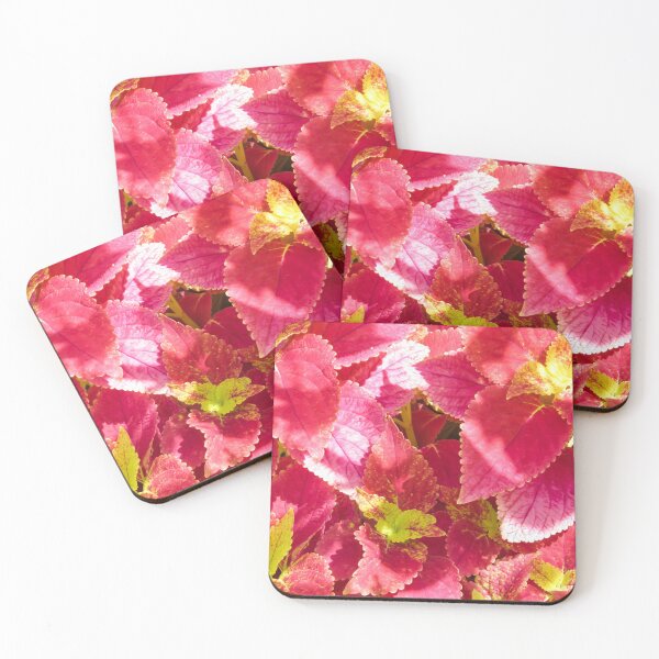 Item preview, Coleus designed and sold by Zina Stromberg.