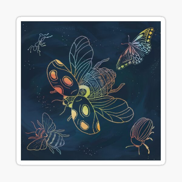 Insectos Scratch art Pegatina