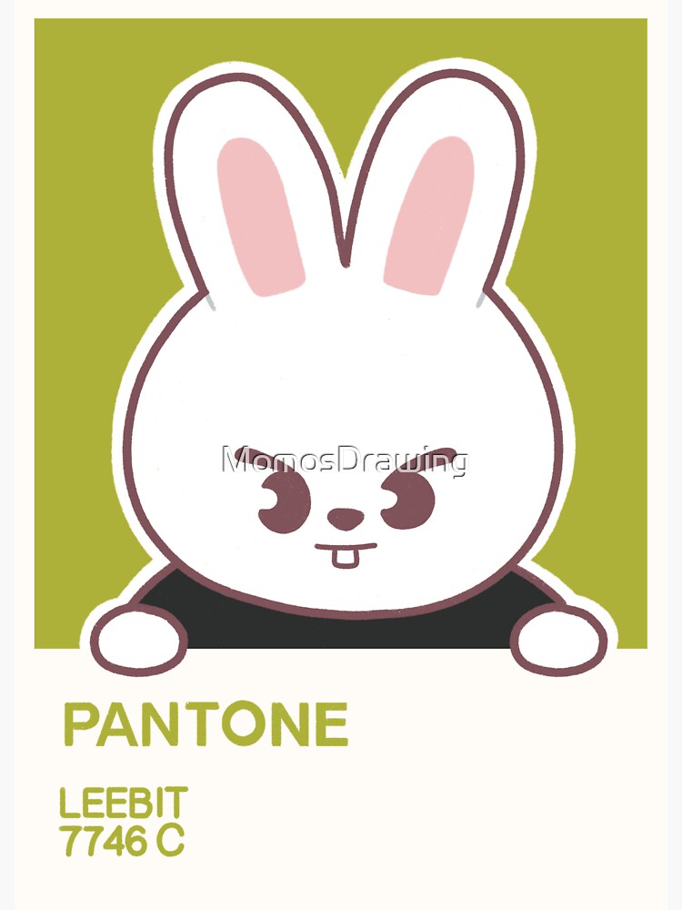 Pantone stray kids - skzoo Leebit