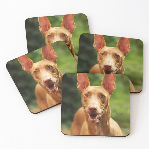 Item preview, Beautiful pharaoh hound dog designed and sold by reka88.