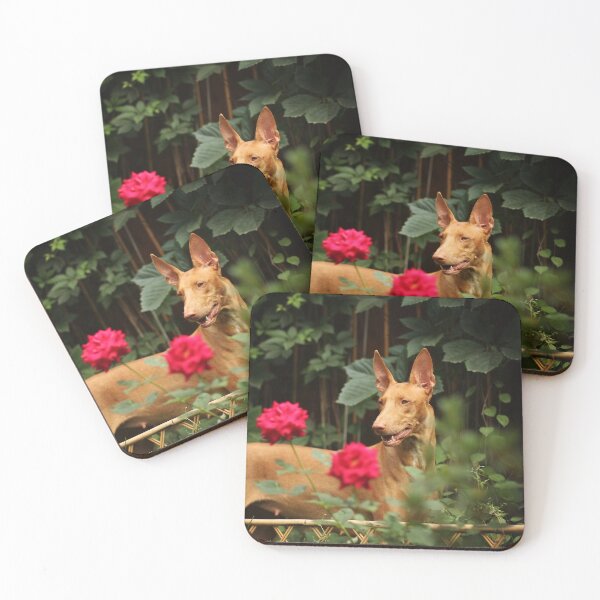 Item preview, Beautiful pharaoh hound dog designed and sold by reka88.