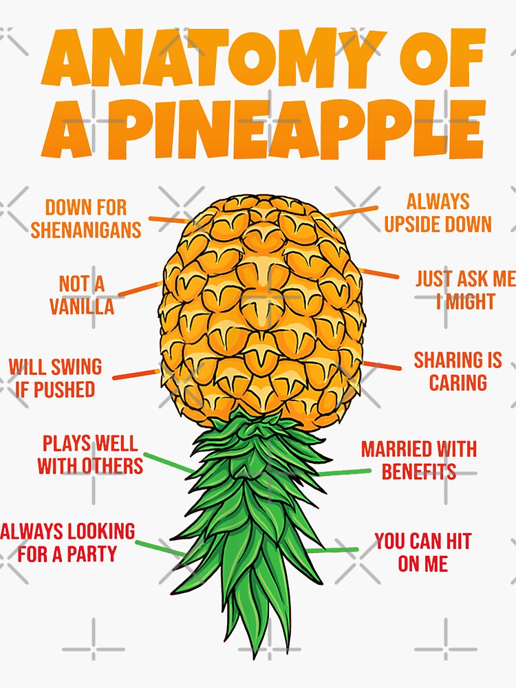 "Anatomy Of A Pineapple Swinger Funny Upside Down Pineapple " Sticker