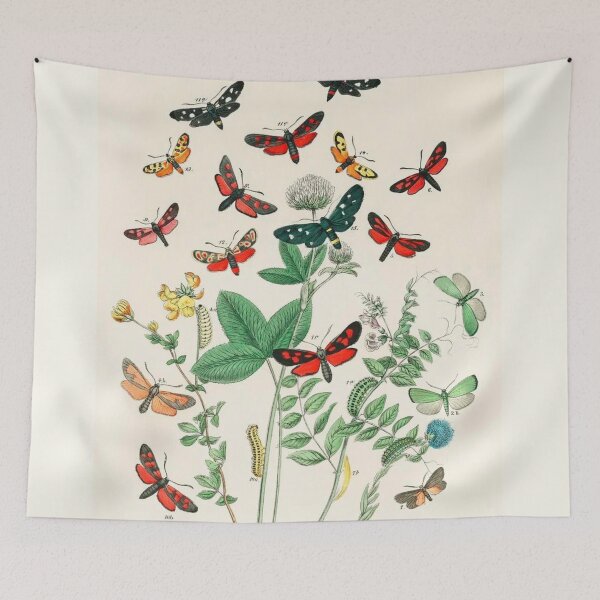 Item preview, Vintage Butterflies Moths and Caterpillars  designed and sold by artemisxluna89.