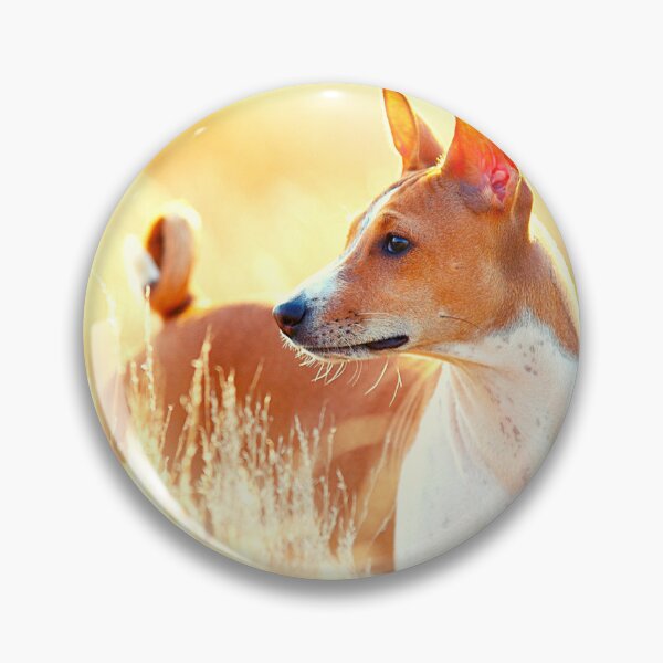 Item preview, Beautiful basenji dog designed and sold by reka88.