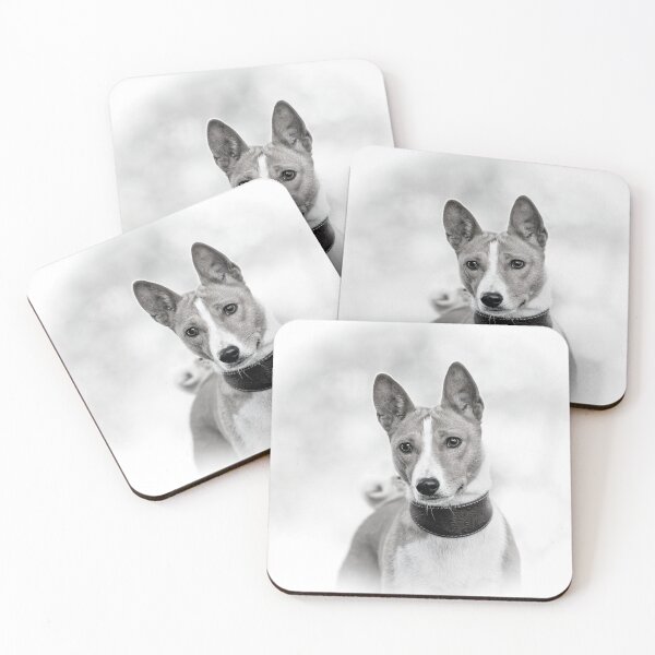 Item preview, Beautiful black and white basenji dog designed and sold by reka88.