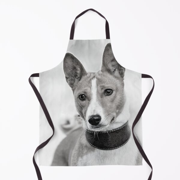 Item preview, Beautiful black and white basenji dog designed and sold by reka88.