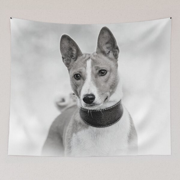 Item preview, Beautiful black and white basenji dog designed and sold by reka88.