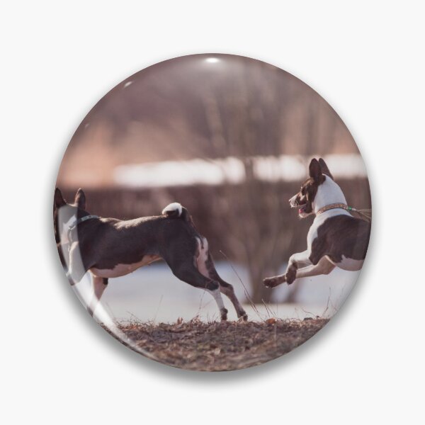 Item preview, Beautiful brown basenji dogs designed and sold by reka88.