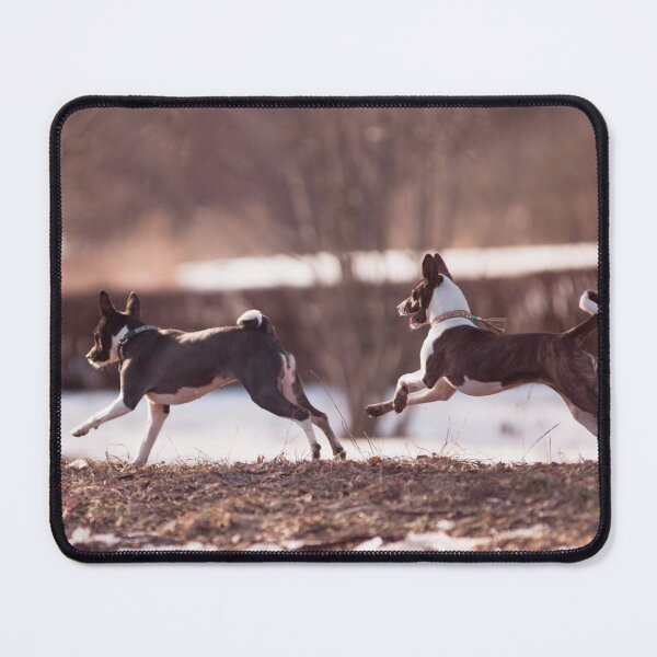 Item preview, Beautiful brown basenji dogs designed and sold by reka88.