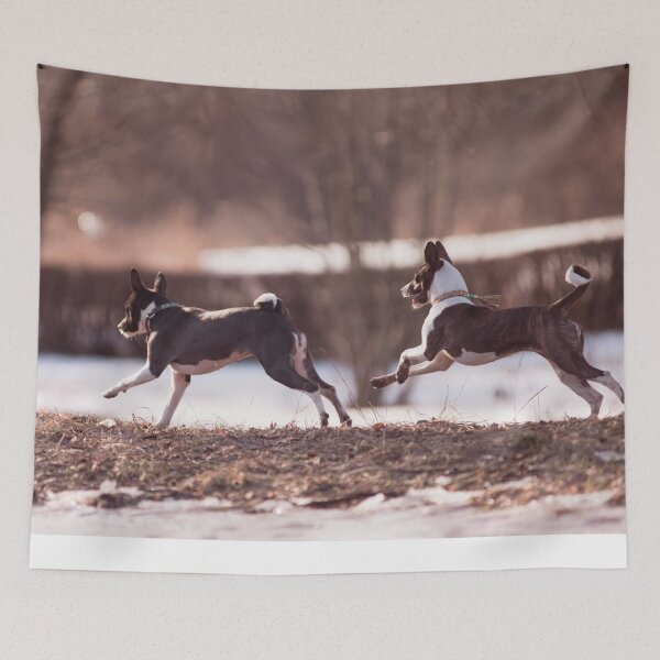 Item preview, Beautiful brown basenji dogs designed and sold by reka88.