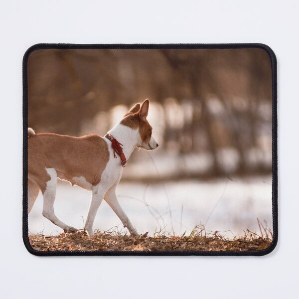 Item preview, Beautiful brown basenji dog picture designed and sold by reka88.