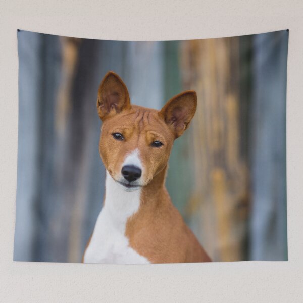Item preview, Beautiful basenji dog designed and sold by reka88.