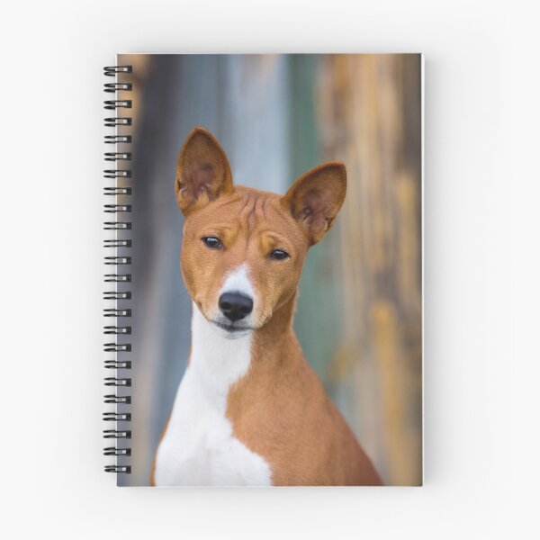 Item preview, Beautiful basenji dog designed and sold by reka88.