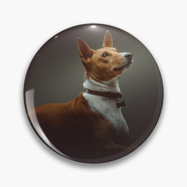 Item preview, Beautiful brown basenji dog designed and sold by reka88.
