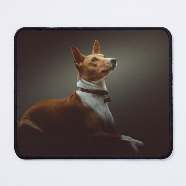 Item preview, Beautiful brown basenji dog designed and sold by reka88.
