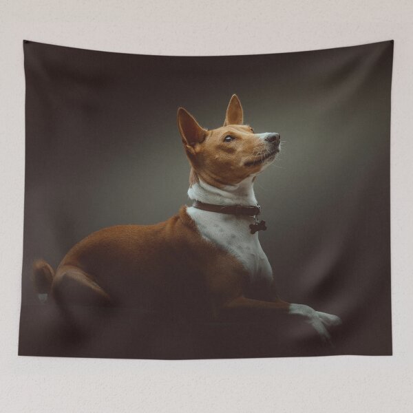 Item preview, Beautiful brown basenji dog designed and sold by reka88.