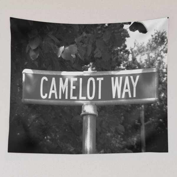 Item preview, A Street Sign Named Camelot designed and sold by jcwest.