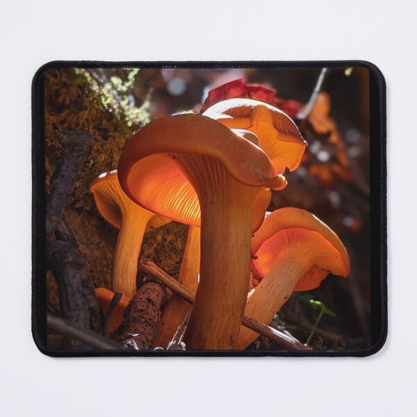 Item preview, A Fiery Fungi designed and sold by ForgsRUs.