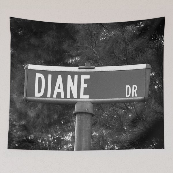 Item preview, A Street Sign Named Diane designed and sold by jcwest.