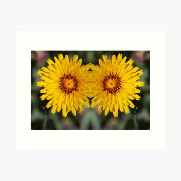 Item preview, MT Kosciusko Wildflowers  designed and sold by recyclebin99.