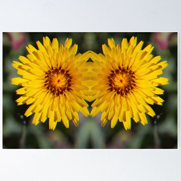 Item preview, MT Kosciusko Wildflowers  designed and sold by recyclebin99.