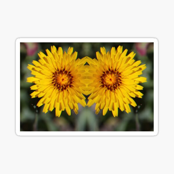 Item preview, MT Kosciusko Wildflowers  designed and sold by recyclebin99.
