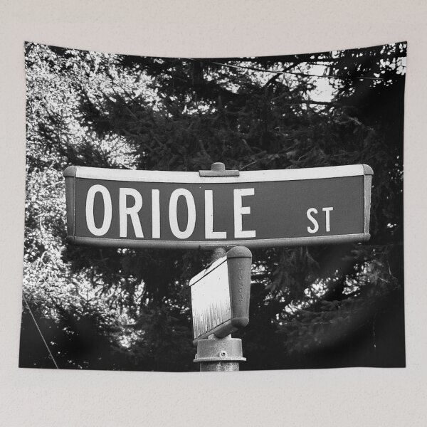 Item preview, A Street Sign Named Oriole designed and sold by jcwest.