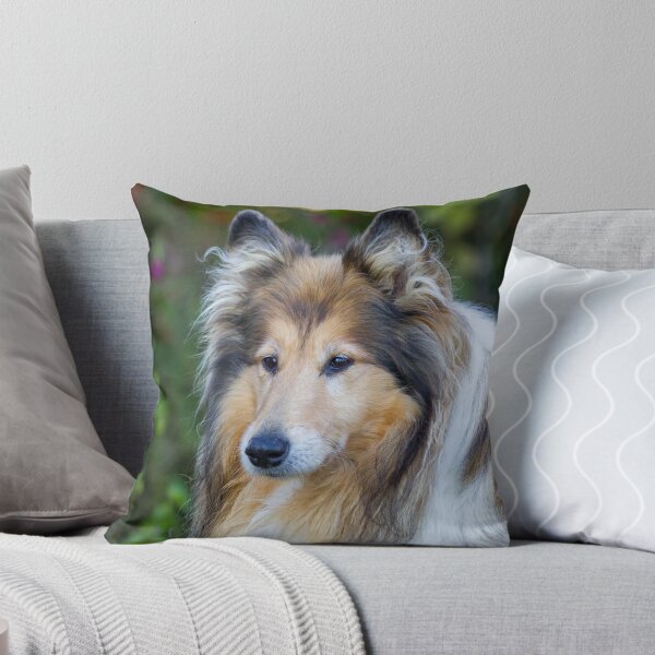 Item preview, Beautiful Collie designed and sold by KarenWoodArt.
