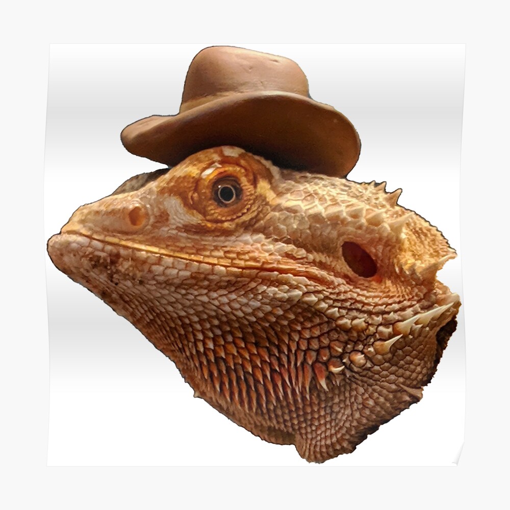 Carolina Designer Dragons' Bearded Dragon Cowboy Hat, Pink