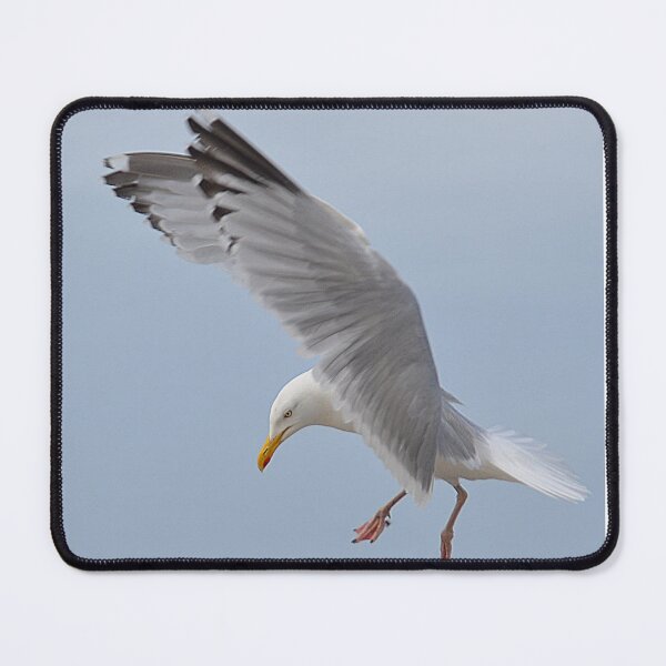 Item preview, Preparing for touch-down  designed and sold by Photography  by Mathilde.