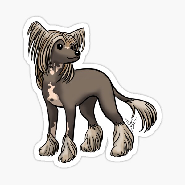 Chinese Crested Gifts Merchandise for Sale Redbubble