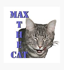 Max The Cat Photographic Print