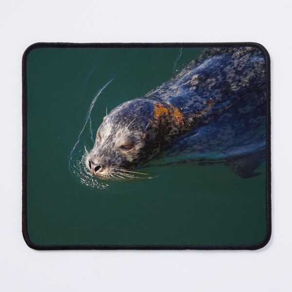 Item preview, Seal Swimming in the Ocean designed and sold by couragesings.