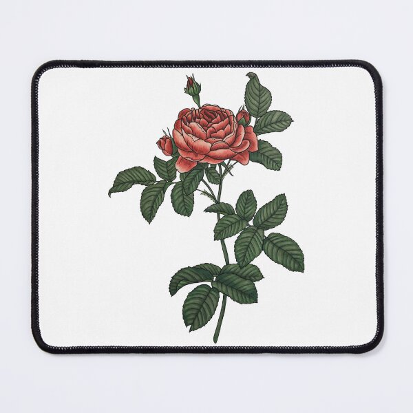 Item preview, Chinese rose designed and sold by B-d-t.