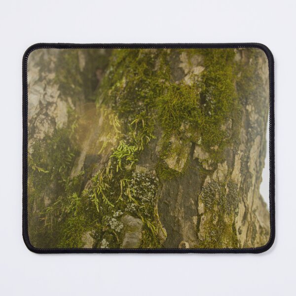 Item preview, Mossy Tree with Sun Flare designed and sold by Courtney Matulewicz.