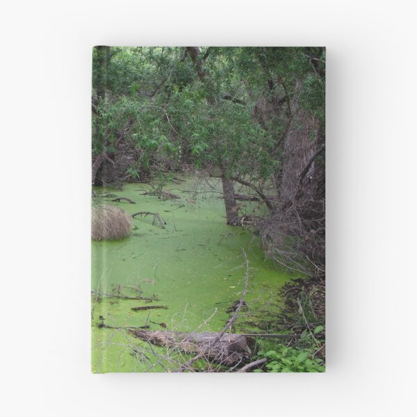 Item preview, Swamp designed and sold by CarolM.