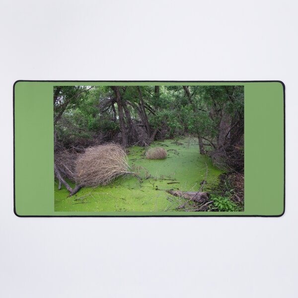 Item preview, Swamp designed and sold by CarolM.