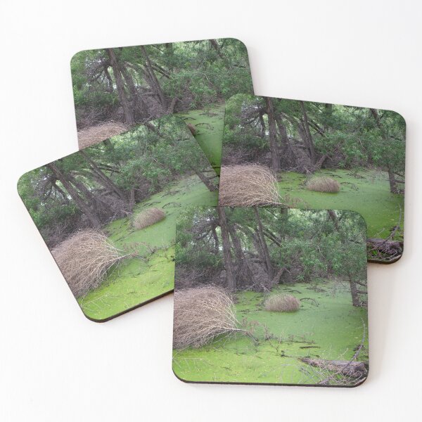 Item preview, Swamp designed and sold by CarolM.